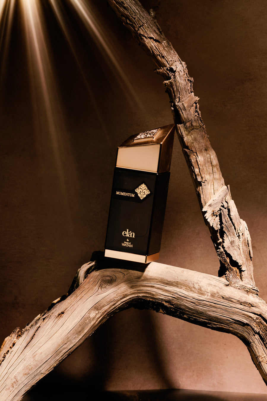 Momentum by House of Watan