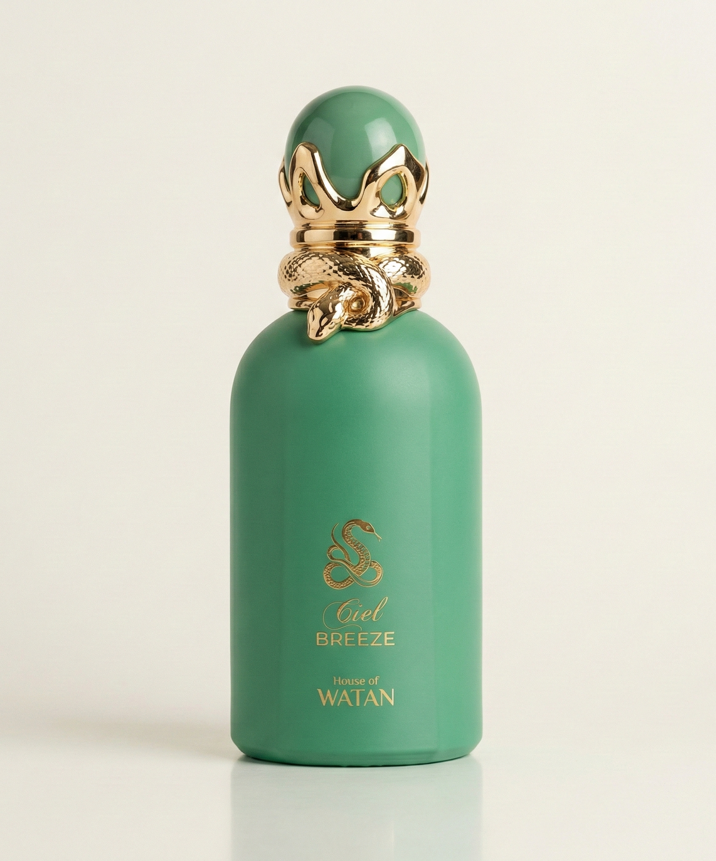 Best Spring Colognes For Men - House of Watan