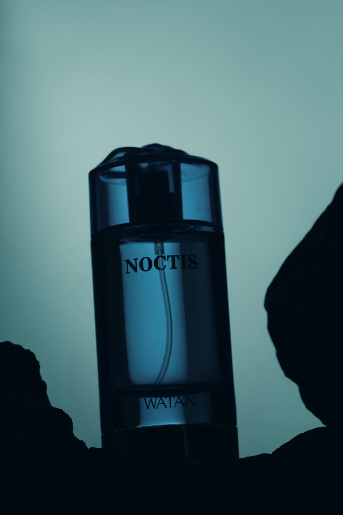 Noctis