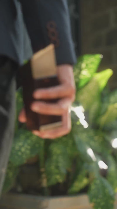 Sleek by House of Watan, Elan series campaign video